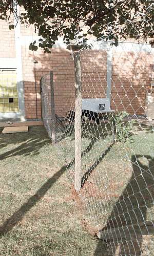 tela alambrado para porco tela alambrado para porco